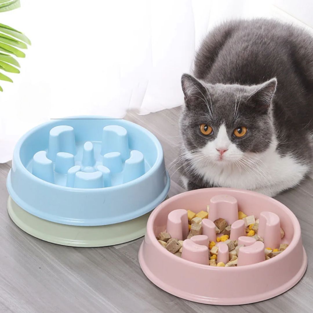 Gamelle Anti Glouton | Gloucat™ - L'avenir des chats