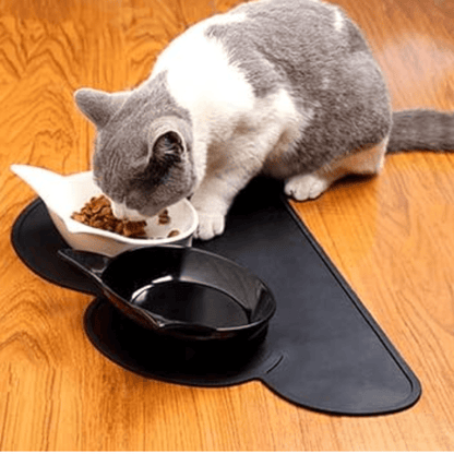 Gamelle chat | ChougaCats™ - L'avenir des chats
