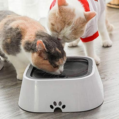 Gamelle chat | GlouCats™ - L'avenir des chats