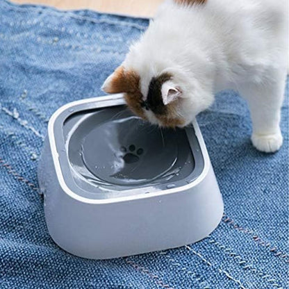 Gamelle chat | GlouCats™ - L'avenir des chats