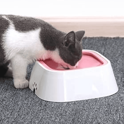 Gamelle chat | GlouCats™ - L'avenir des chats