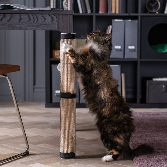 griffoir chat pied table