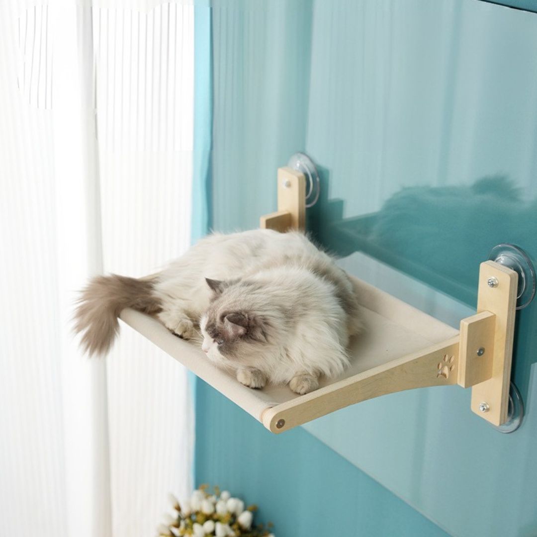 hamac pour chat douillet harecats