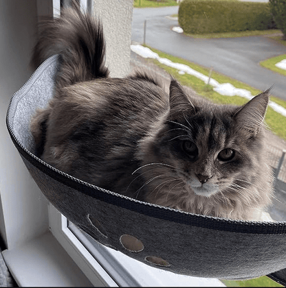 Hamac pour chat | FenouCats™ - L'avenir des chats