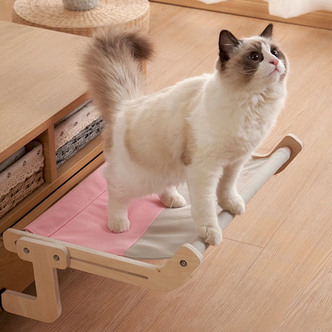 Hamac pour Chat | Hamacat™ - L'avenir des chats