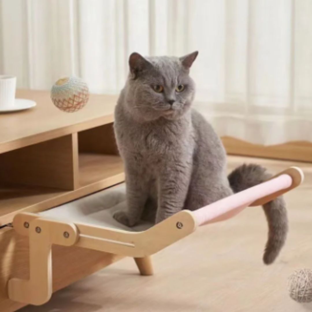 Hamac pour Chat | Hamacat™ - L'avenir des chats