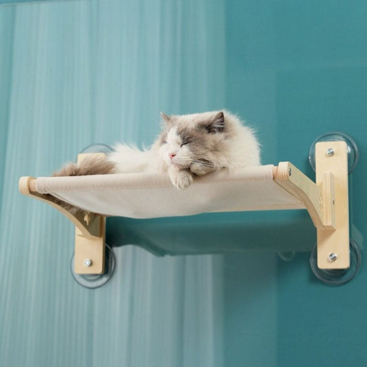 hamac pour chat mur harecats