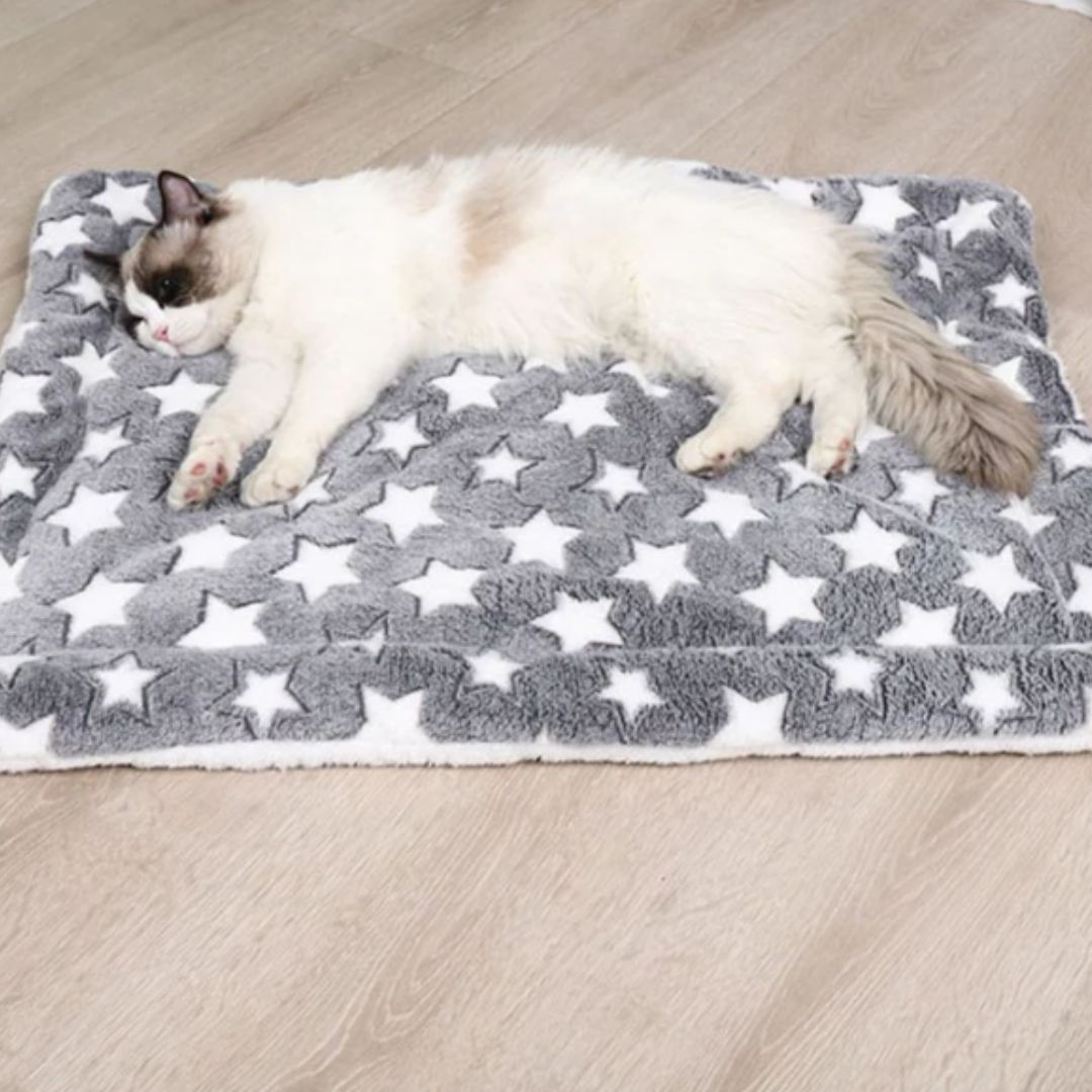 lit pour chat sous forme de couverture de couleur gris avec un chat qui dort dessus