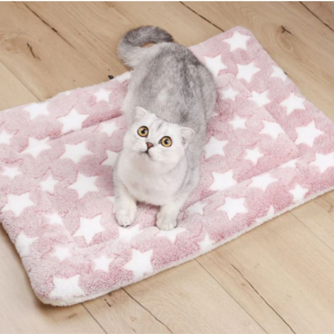 lit pour chat sous forme de couverture de couleur rose moelleux avec un chat se reposant dessus