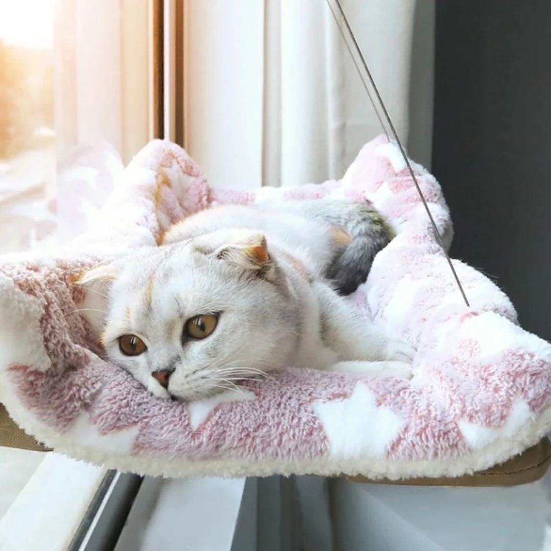 lit pour chat de couleur rose avec un chat dans un hamac qui est allongé sur la couverture