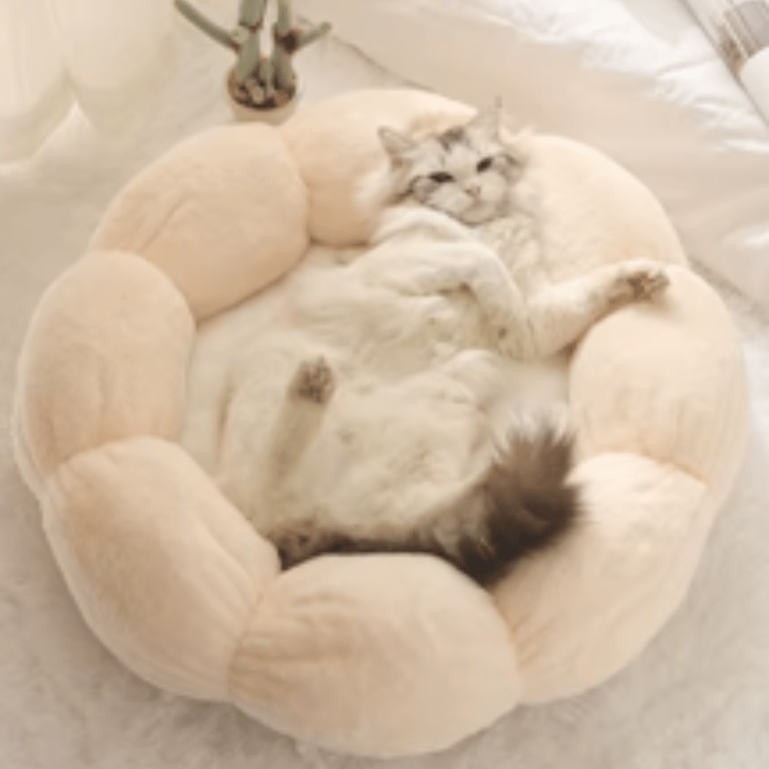 lit pour chat de couleur rose avec une forme de fleur avec un chat dedans