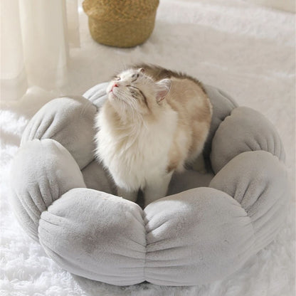 Lit pour chat | Rounoucats™ - L'avenir des chats