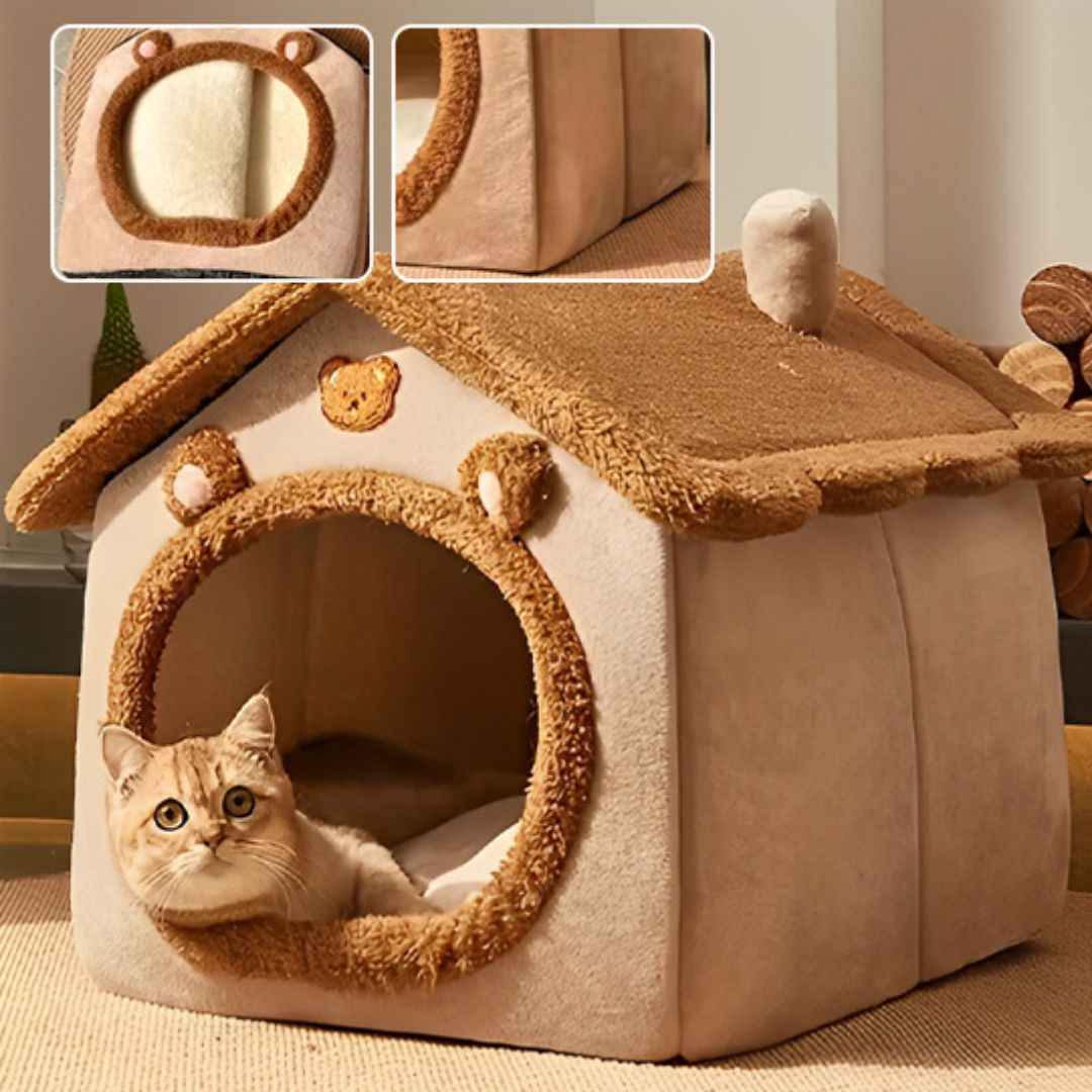 Maison pour Chat | ManouCats™ - L'avenir des chats