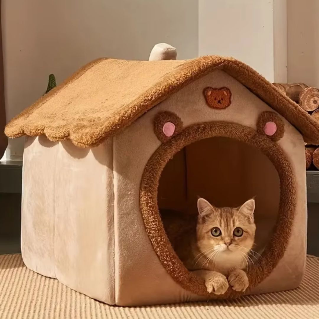 Maison pour Chat | ManouCats™ - L'avenir des chats