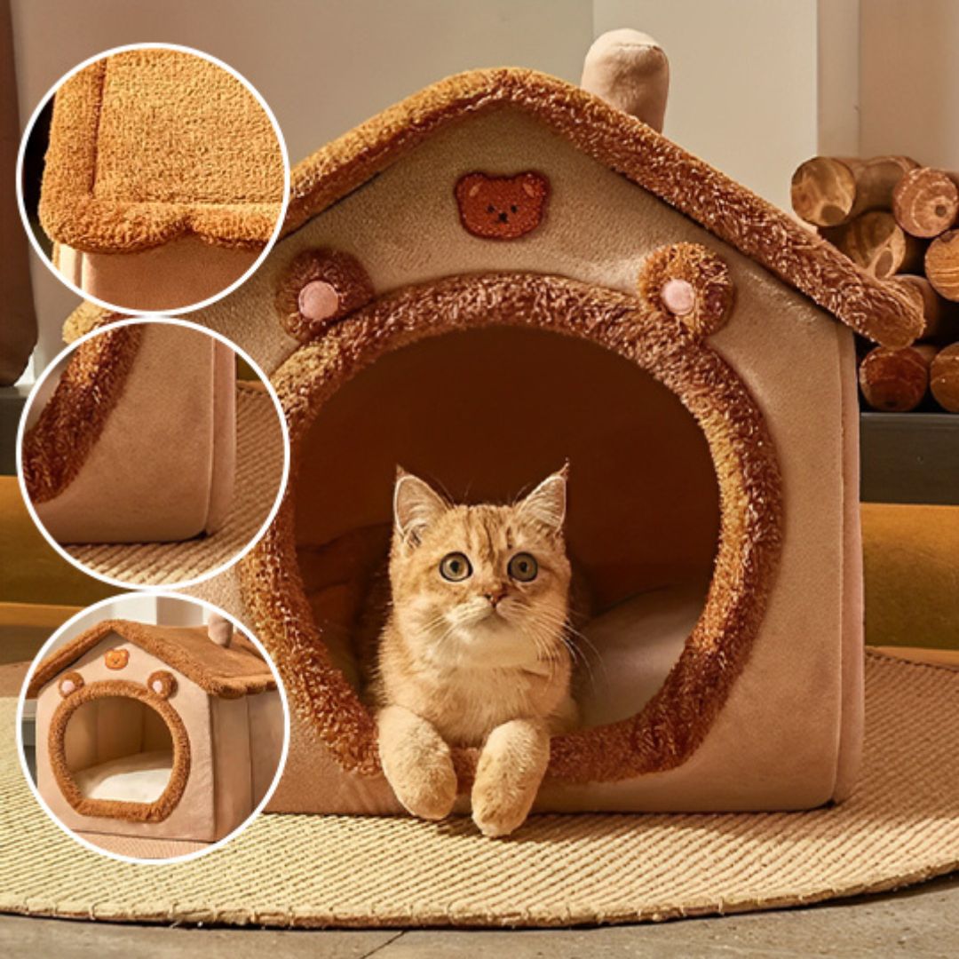 Maison pour Chat | ManouCats™ - L'avenir des chats