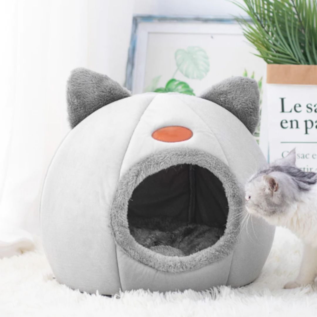 niche pour chat de couleur gris durable forme de chat