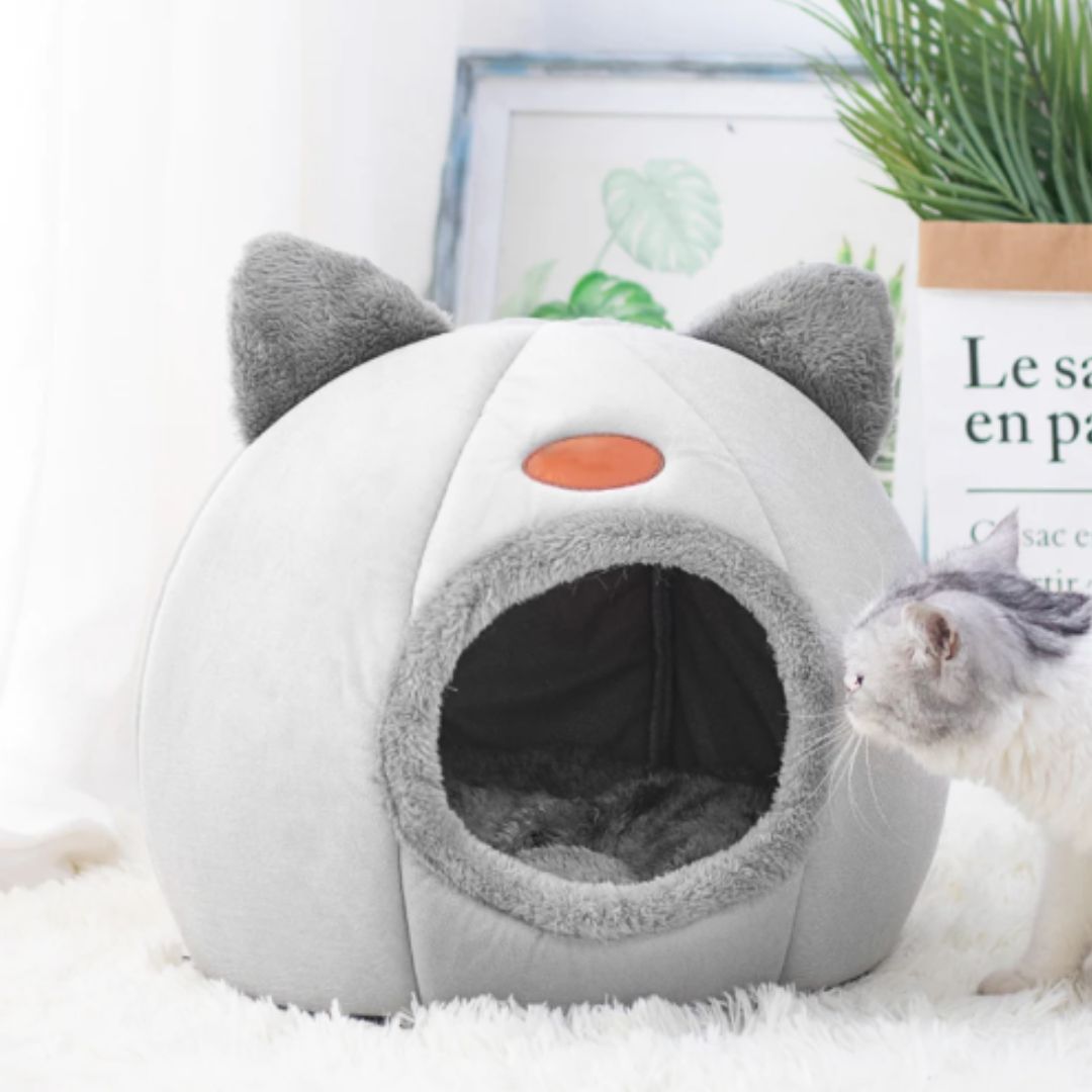 Niche pour Chat | NichouCats™ - L'avenir des chats