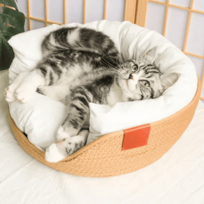 panier chat de haute qualité beige optimal avec un chat qui se repose