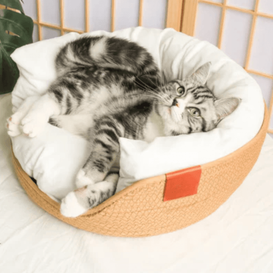 panier chat de haute qualité beige optimal avec un chat qui se repose