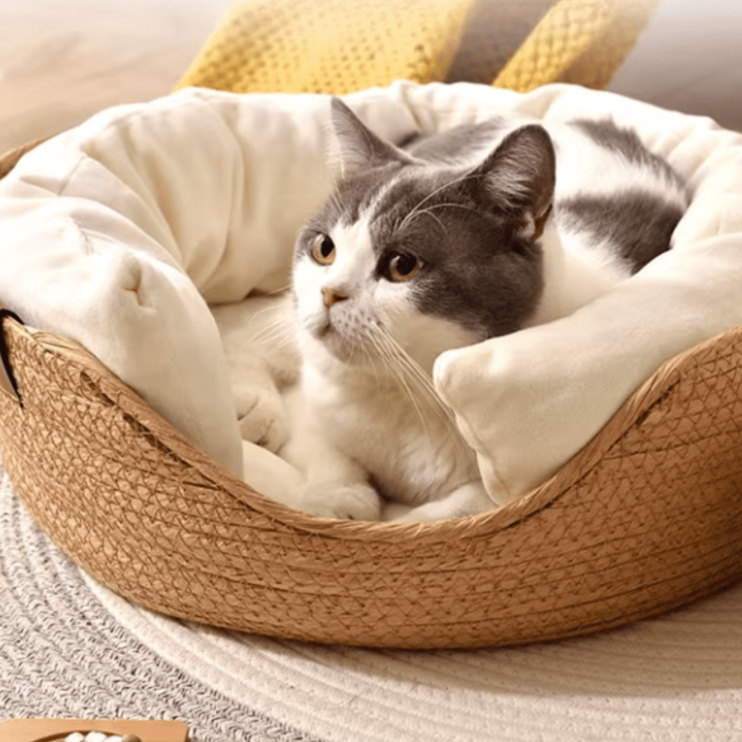 panier chat bambou beige