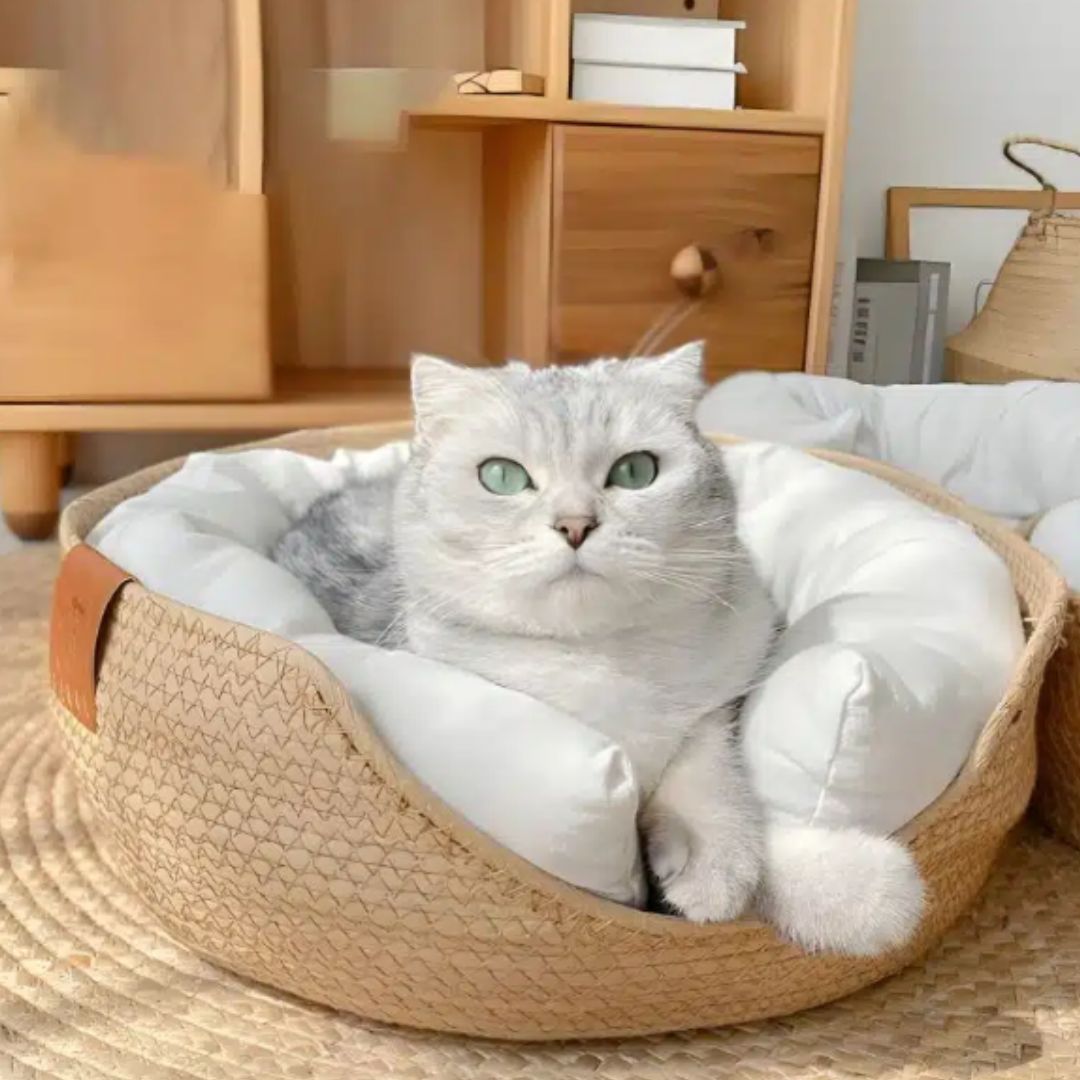 panier chat bambou reposant