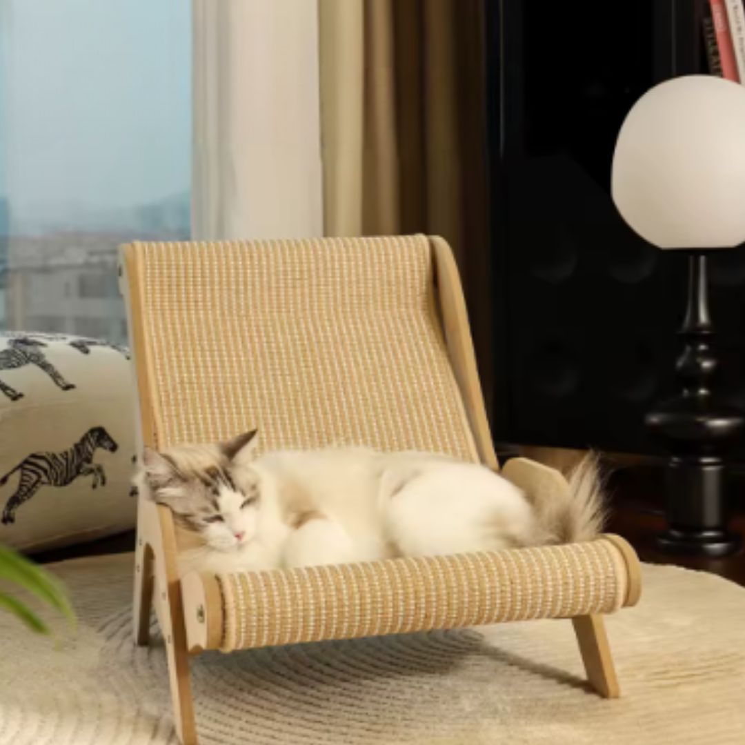 panier chat osier chaise posofacats