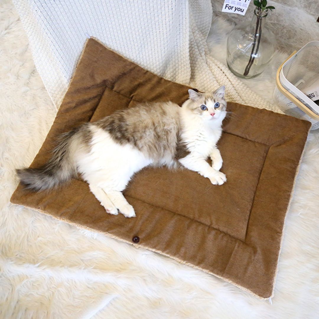 panier chat pliable marron doux