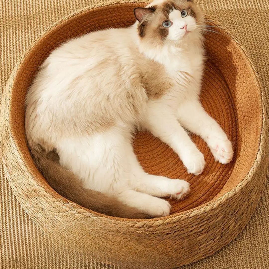 panier en osier pour chat confortable poticats