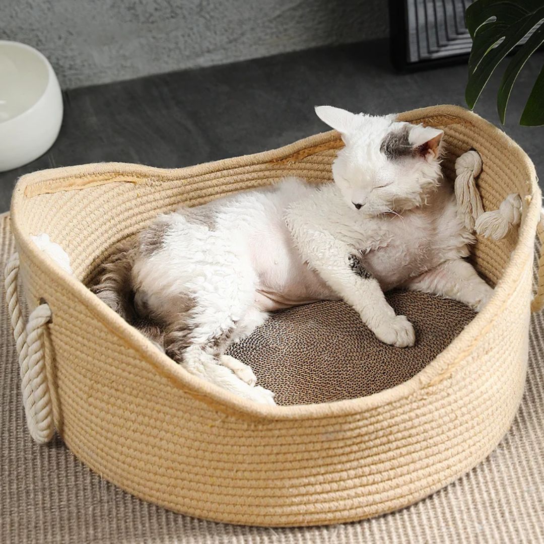 panier osier chat moelleux paniolcats