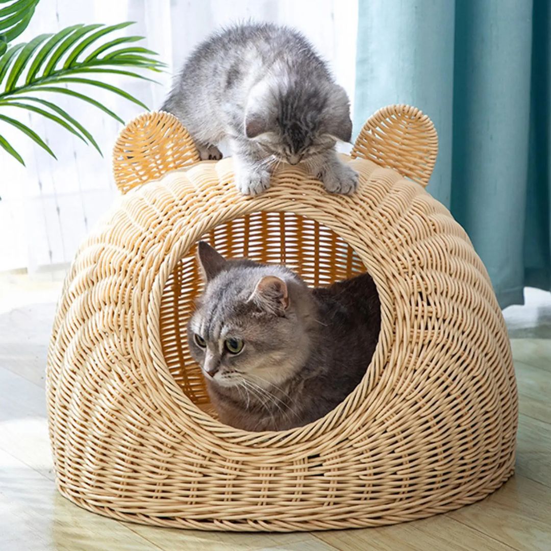 panier osier chat moelleux pochichicats