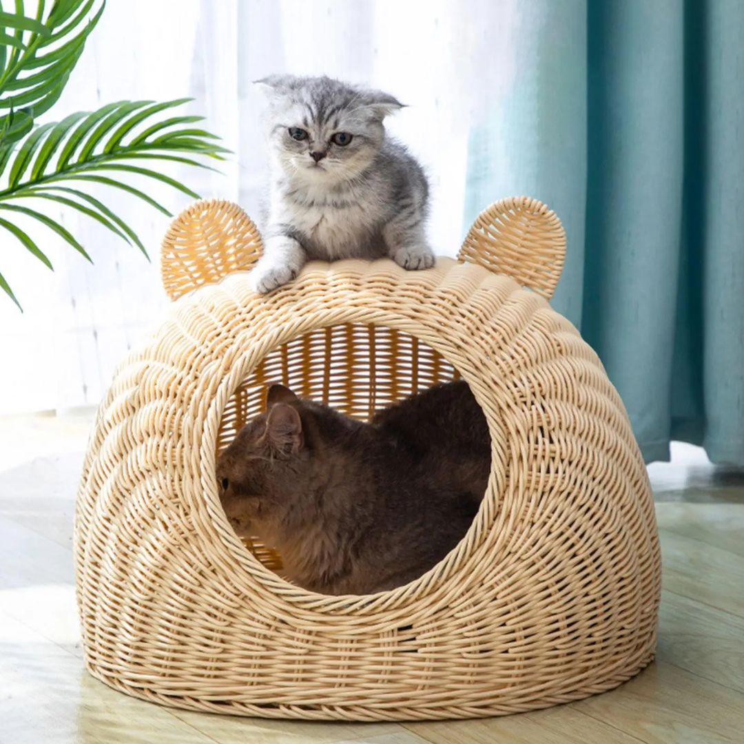 panier osier chat rotin pochichicats