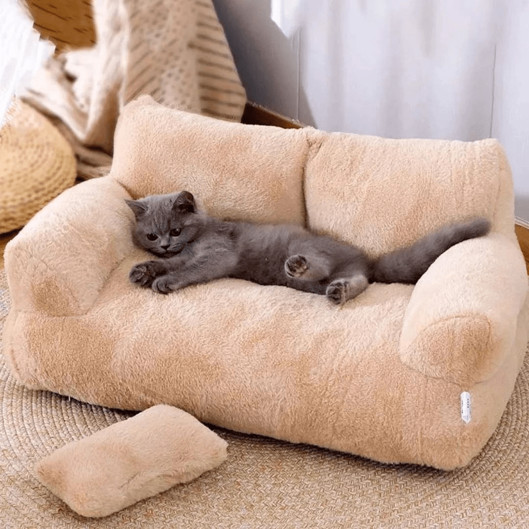 panier pour chat confort canapcats