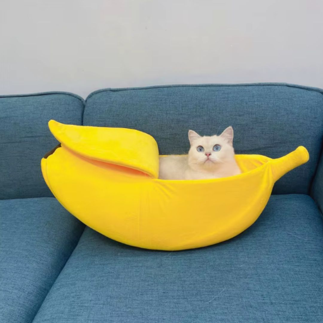 panier pour chat confortable banacats