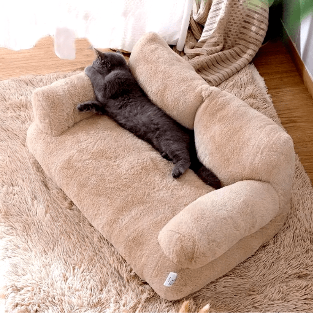 panier pour chat confortable canapcats