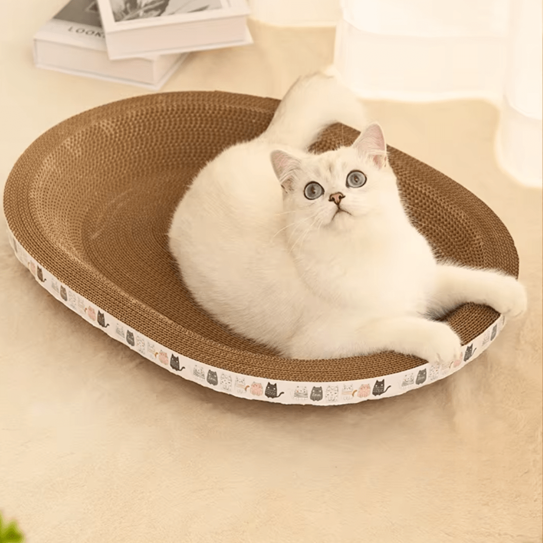panier pour chat grattoir gratoucats