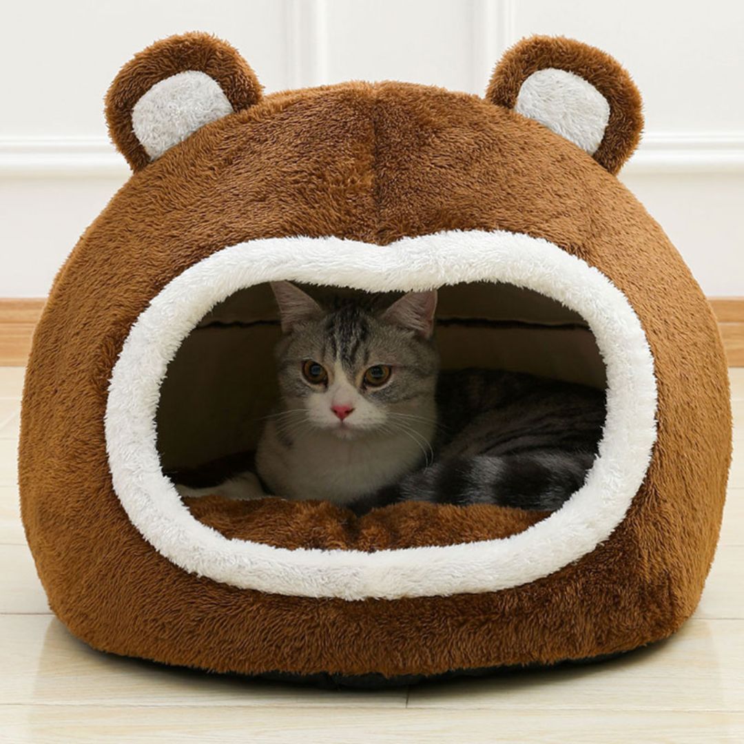 panier pour chat marron ours optimal nounoucat