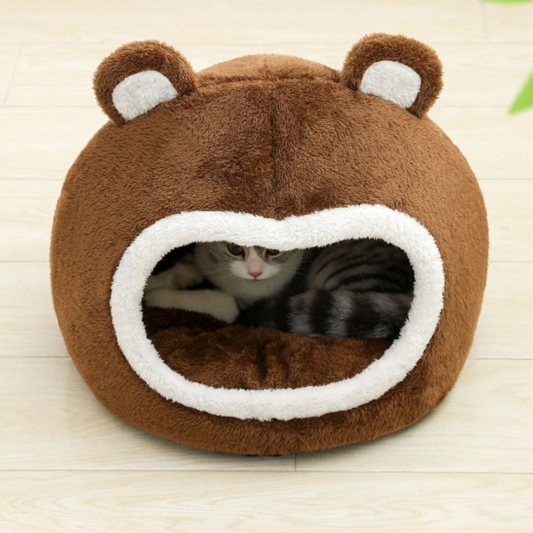 panier pour chat ours confortable nounoucats