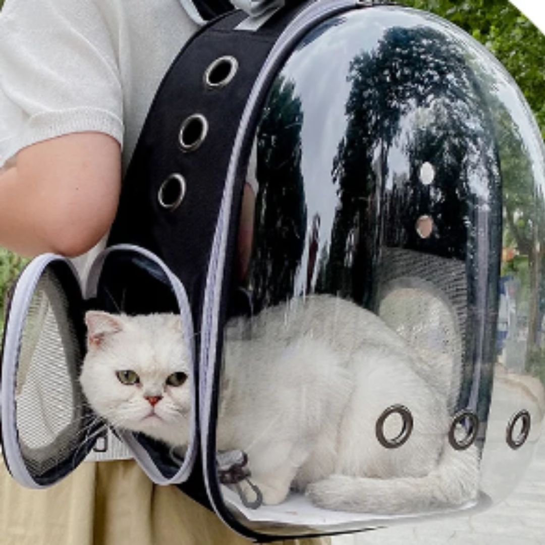 Sac de transport pour chat | SACOUCATS™ - L'avenir des chats