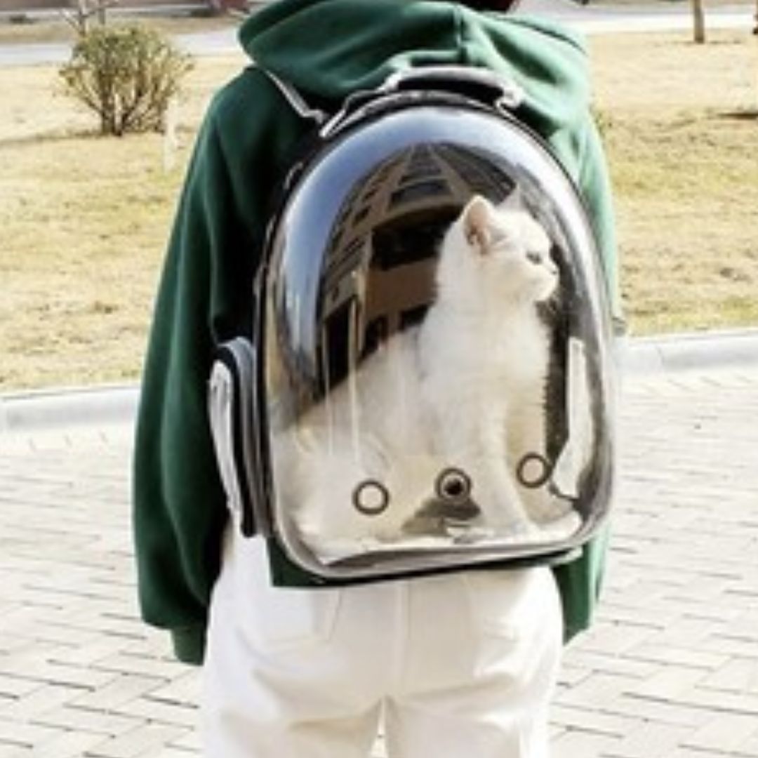 Sac de transport pour chat | SACOUCATS™ - L'avenir des chats