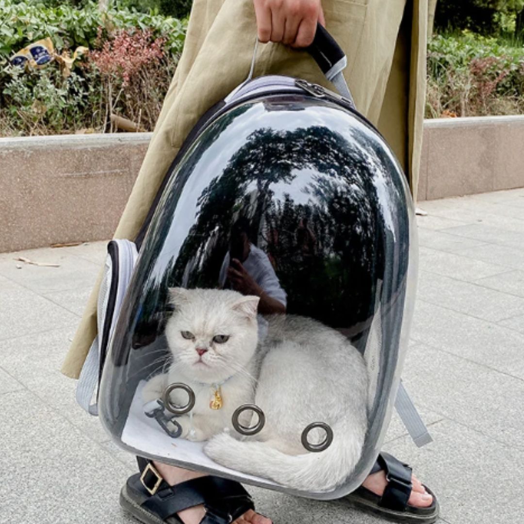 Sac de transport pour chat | SACOUCATS™ - L'avenir des chats