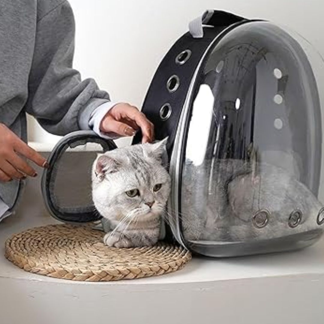 Sac de transport pour chat | SACOUCATS™ - L'avenir des chats