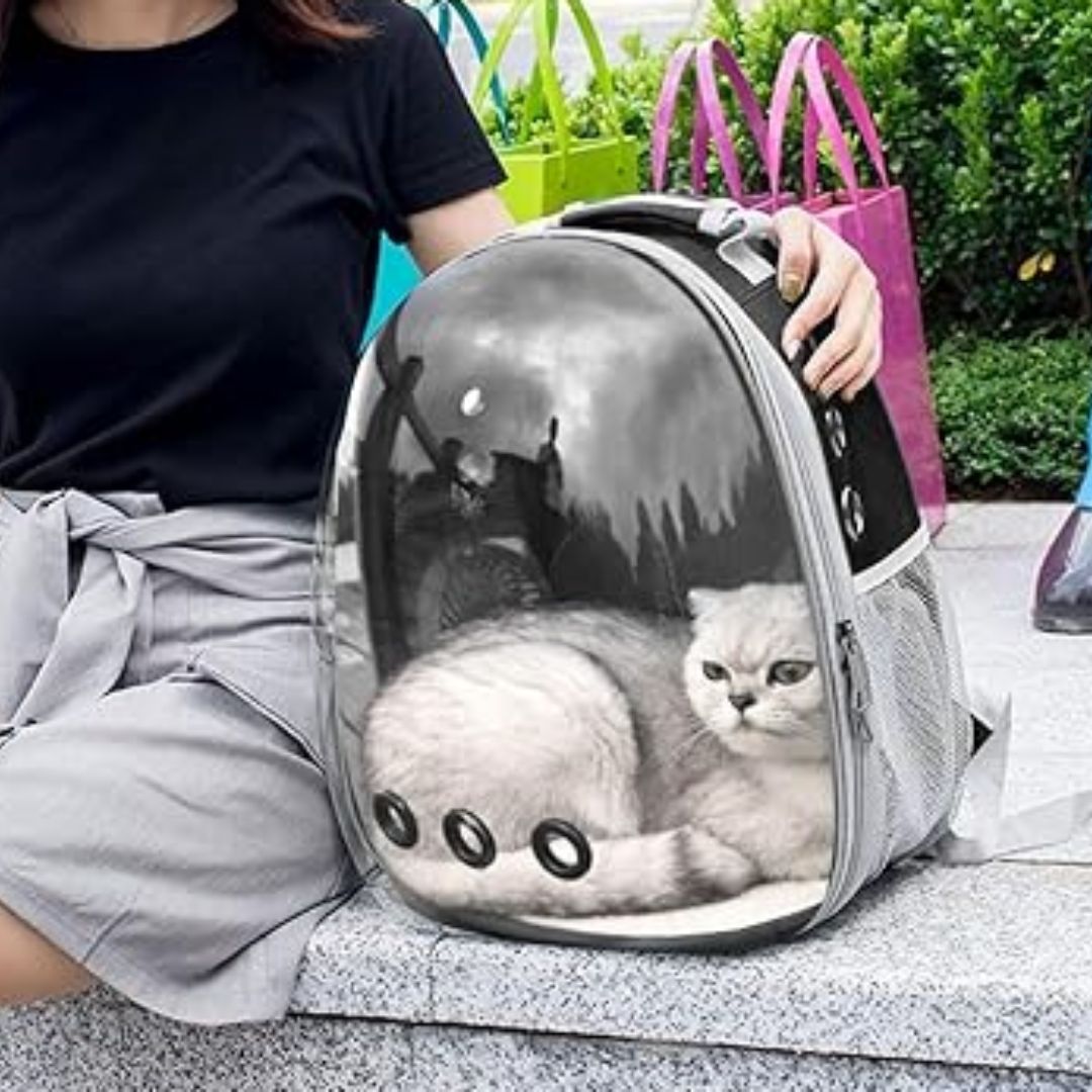 Sac de transport pour chat | SACOUCATS™ - L'avenir des chats