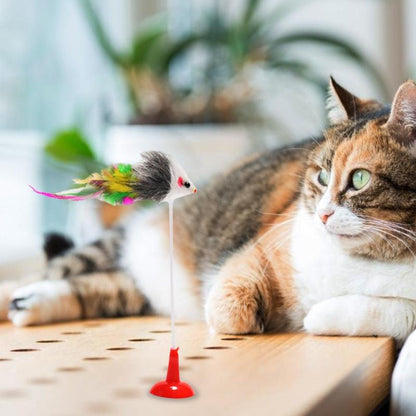 ToyStick™ - Bâton de plumes avec clochette | Chat - L'avenir des chats